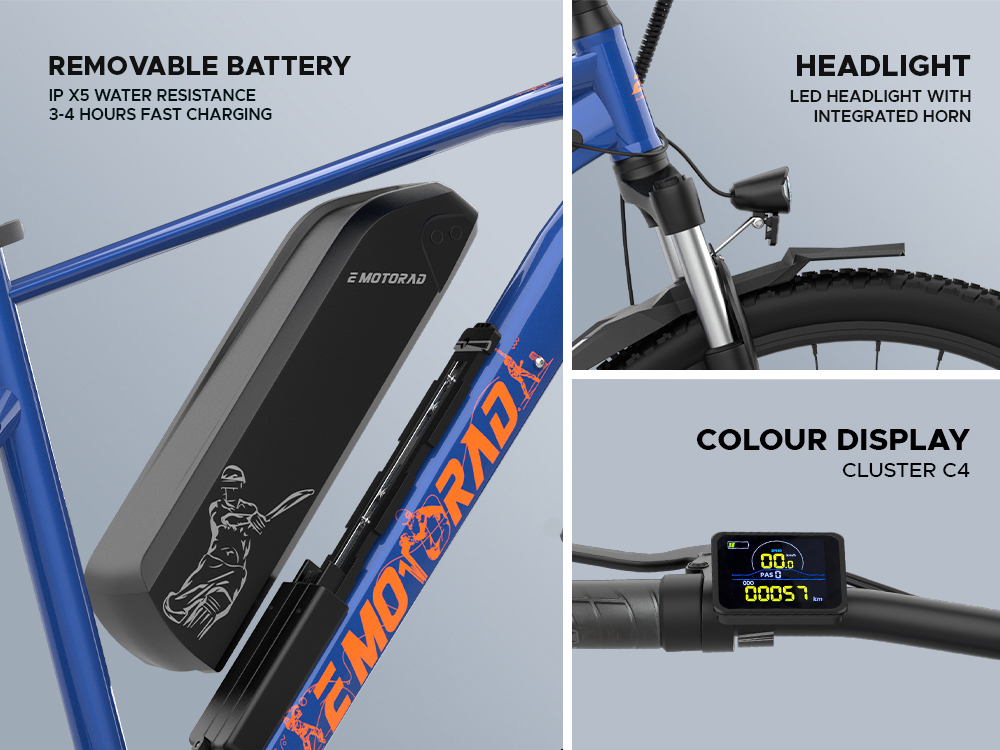 legend07-singlespeed-bleedblue2