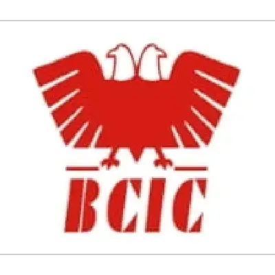 bcic